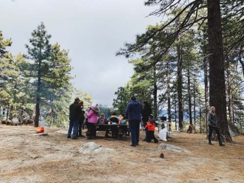 Processed with VSCO with 4 preset