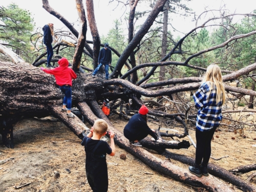 Processed with VSCO with 4 preset